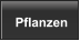 Pflanzen