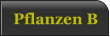 Pflanzen B