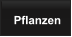 Pflanzen
