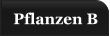 Pflanzen B